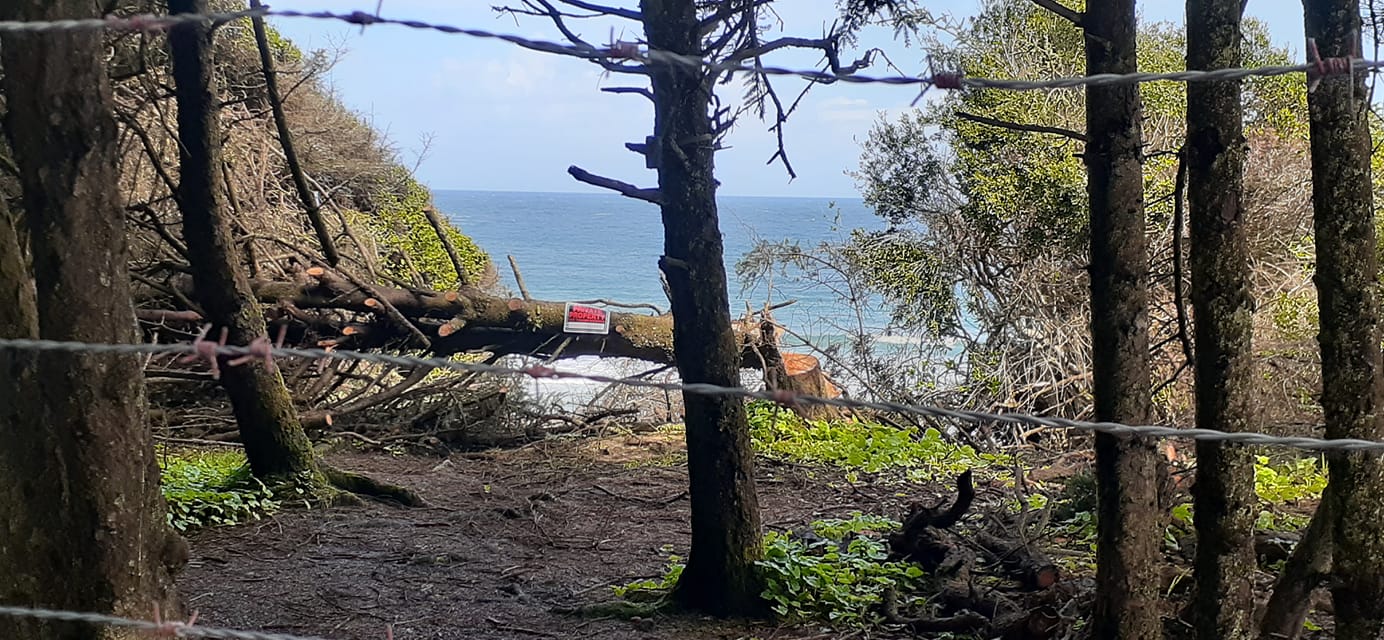 lighthouse  beach fence