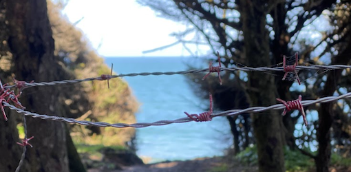 Beach access block by bobbed wire