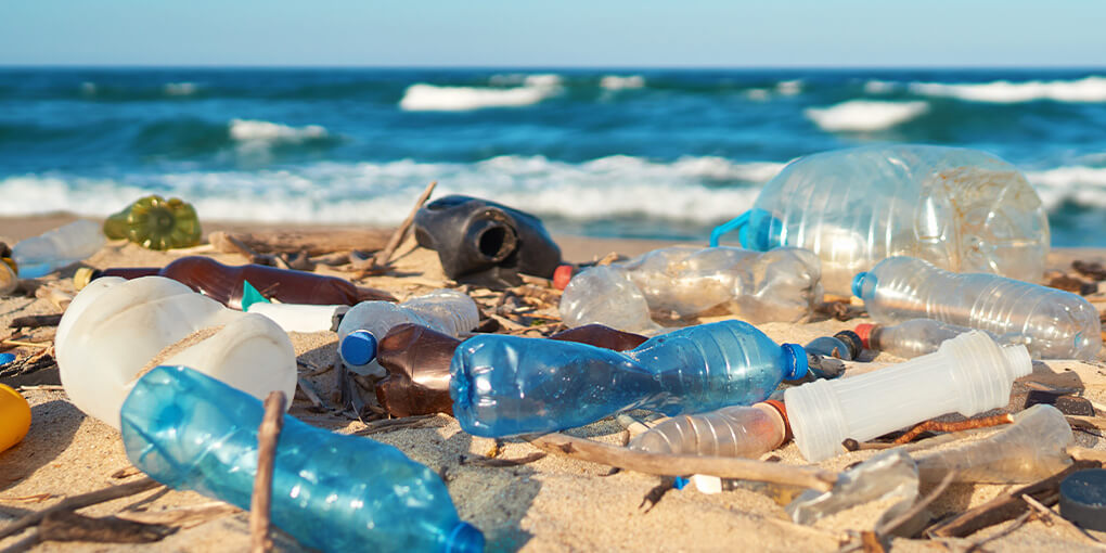 Use Federal Purchasing Power to Reduce Single-Use Plastics