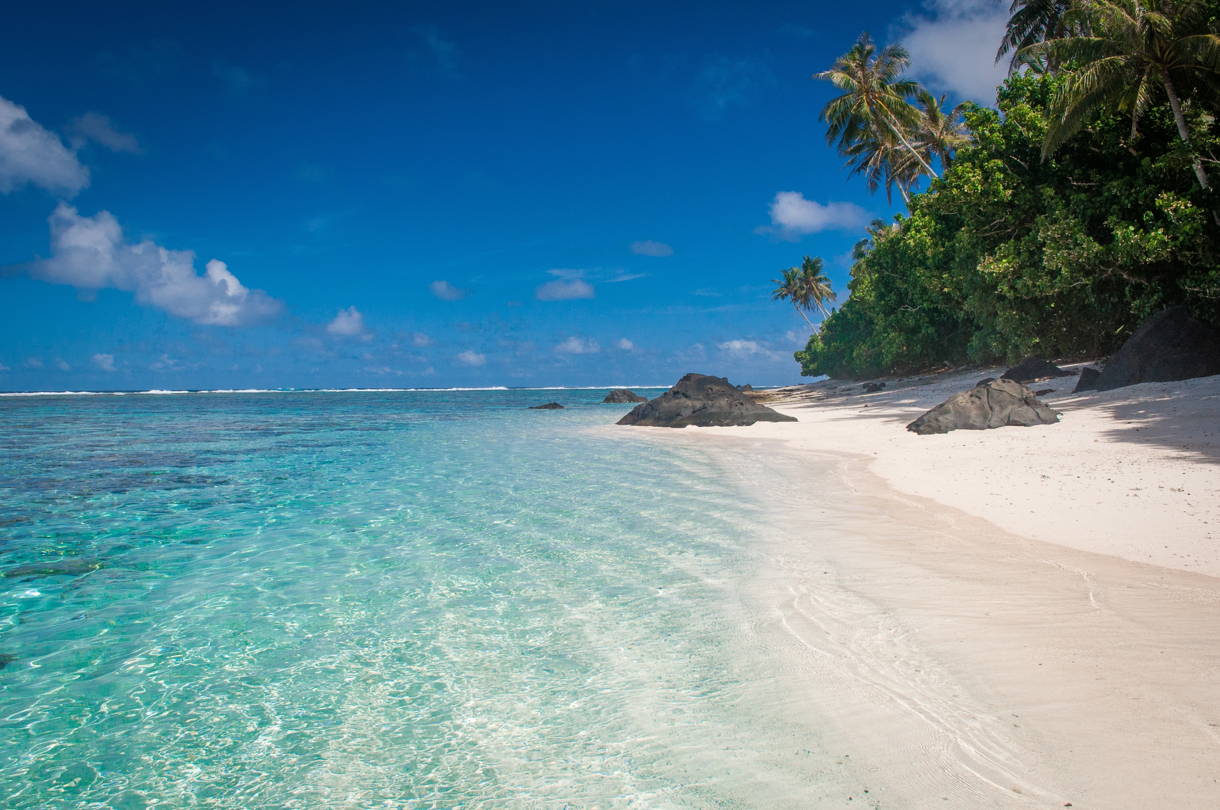 Stop Harmful Deep-Sea Mining off American Samoa