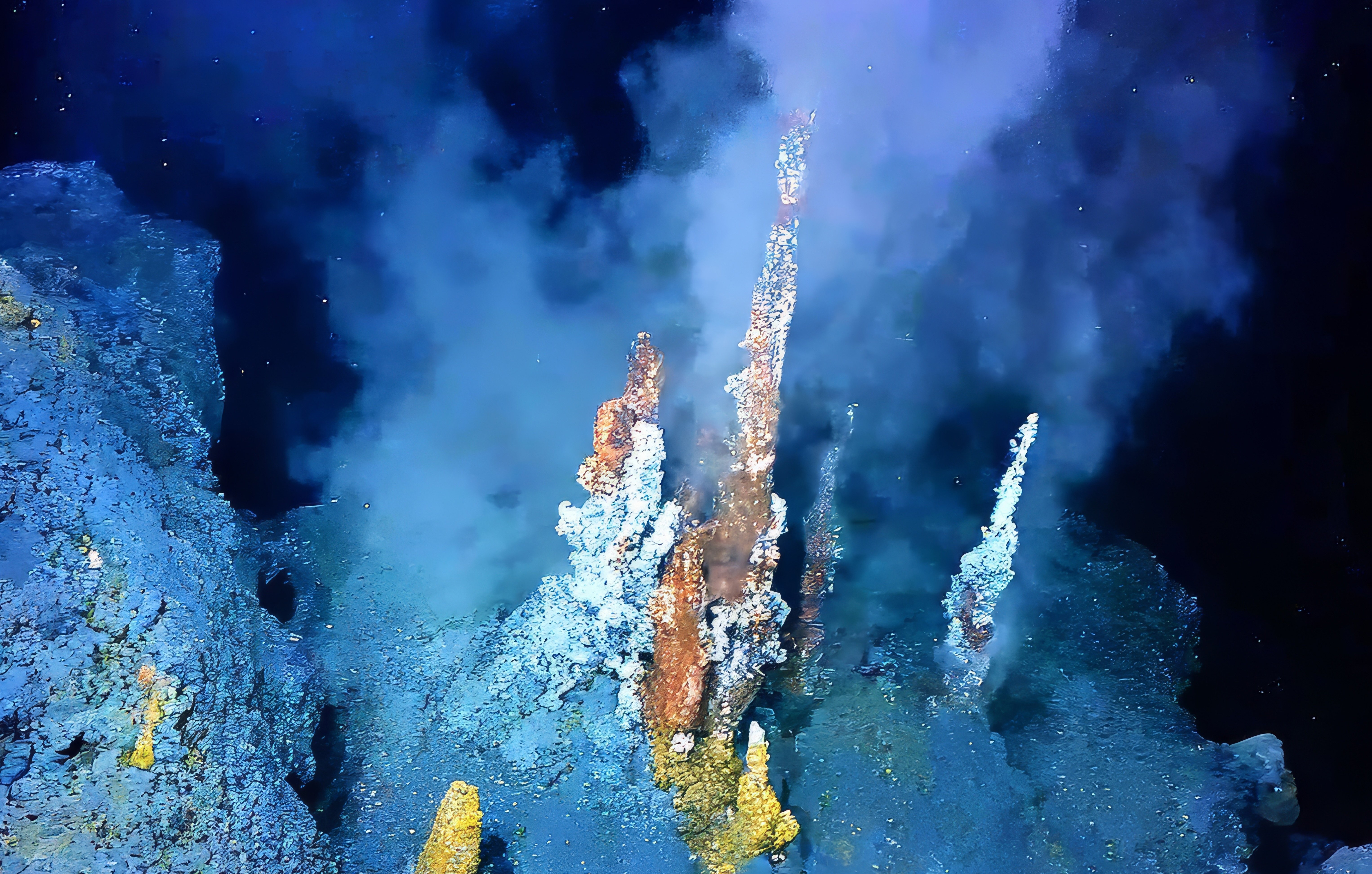Stop Harmful Seabed Mining in the Pacific Ocean