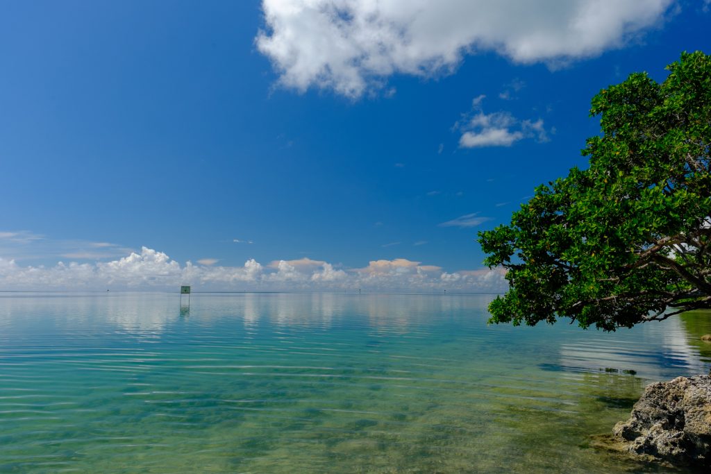 Protect Public Beach Access in Key Largo