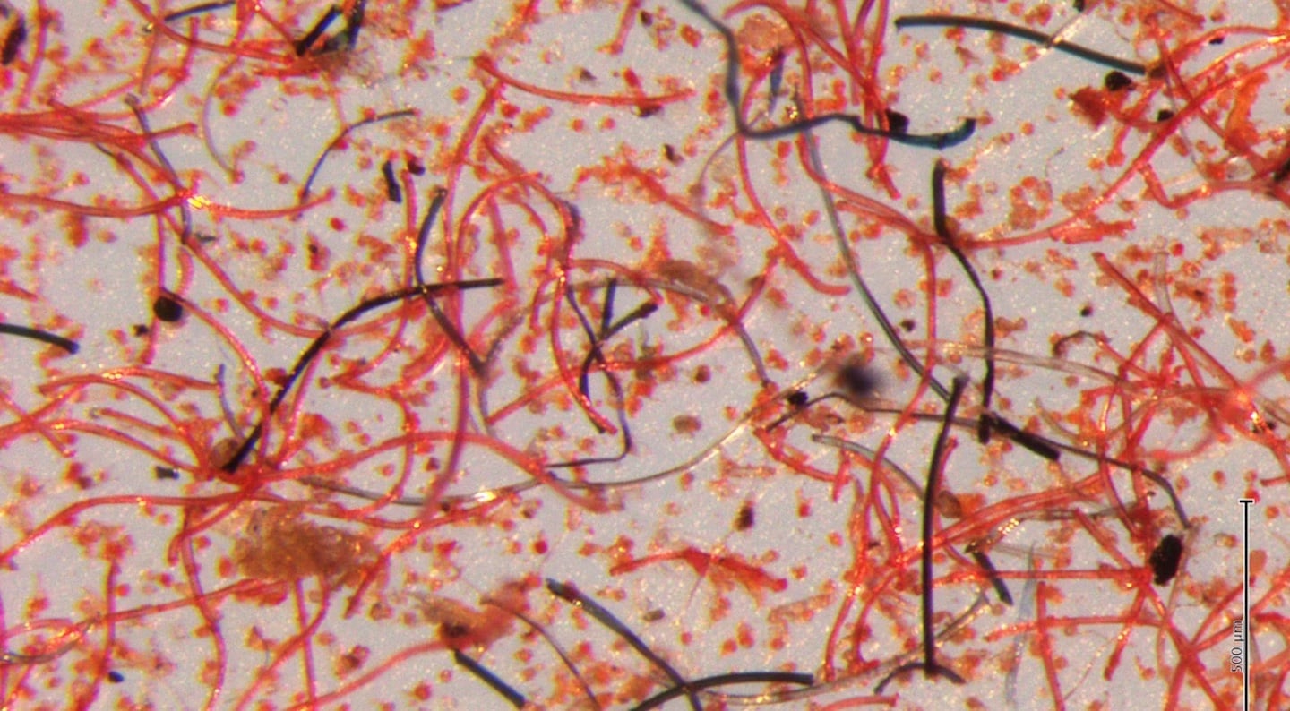 Stop Microfiber Pollution in CA!