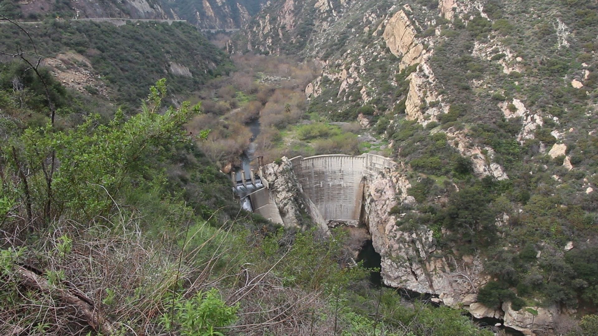 Remove Rindge Dam