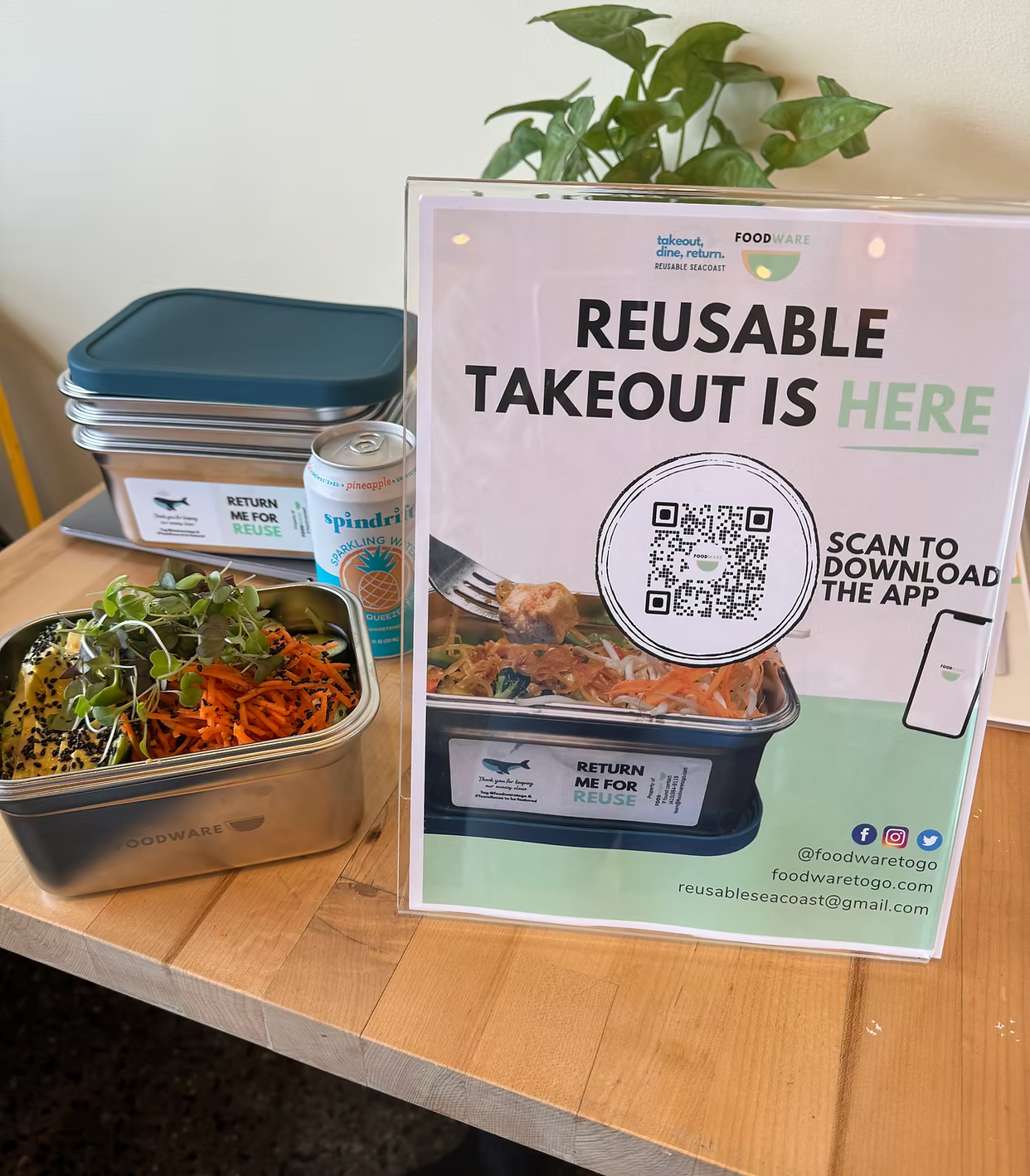 Reusable Seacoast 