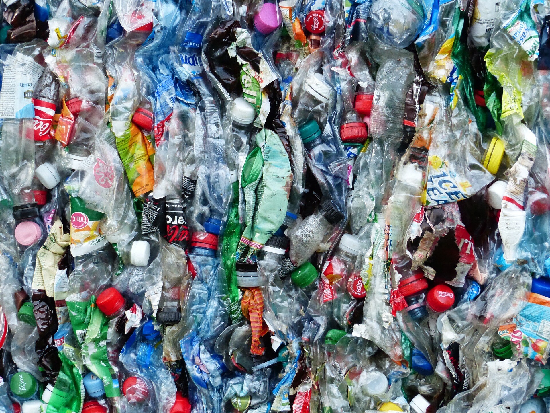 Reduce Plastic Pollution in DC