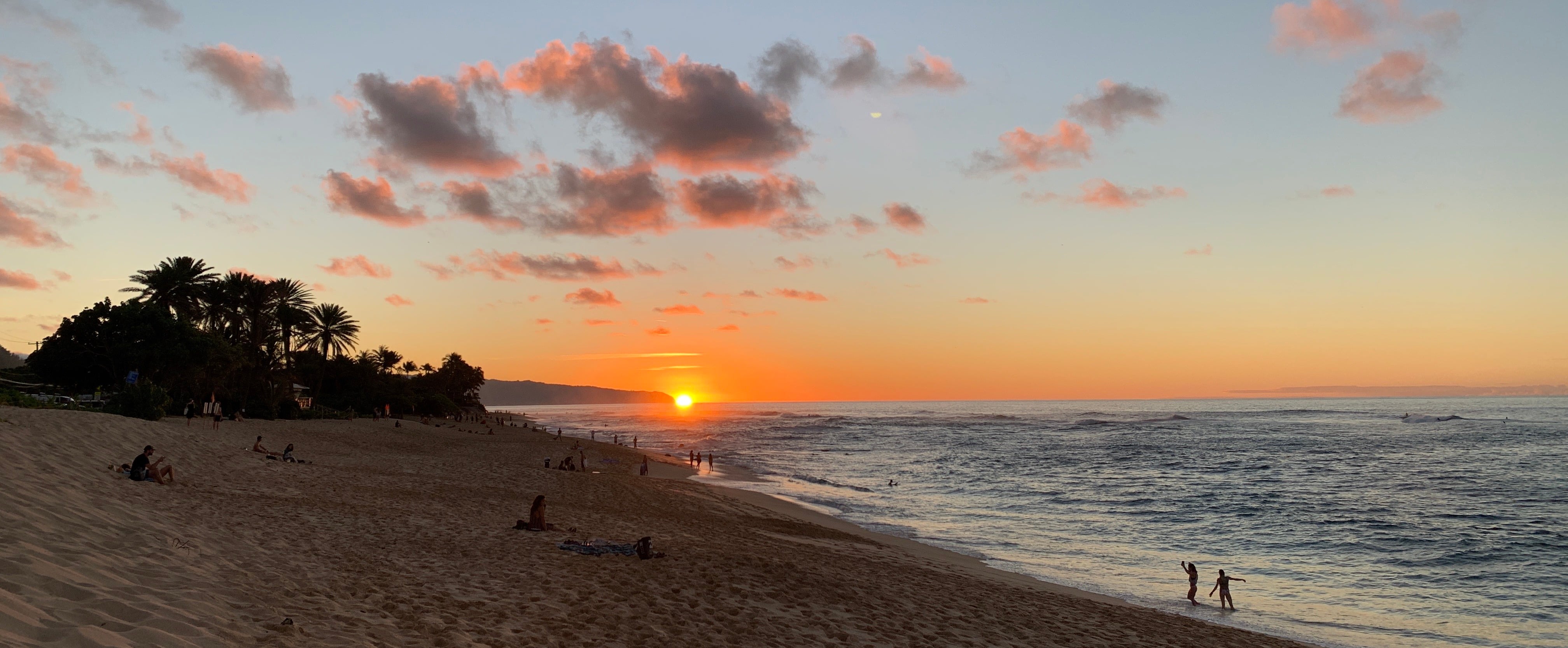 Demand a Strong Global Plastics Treaty to Protect Our Ocean