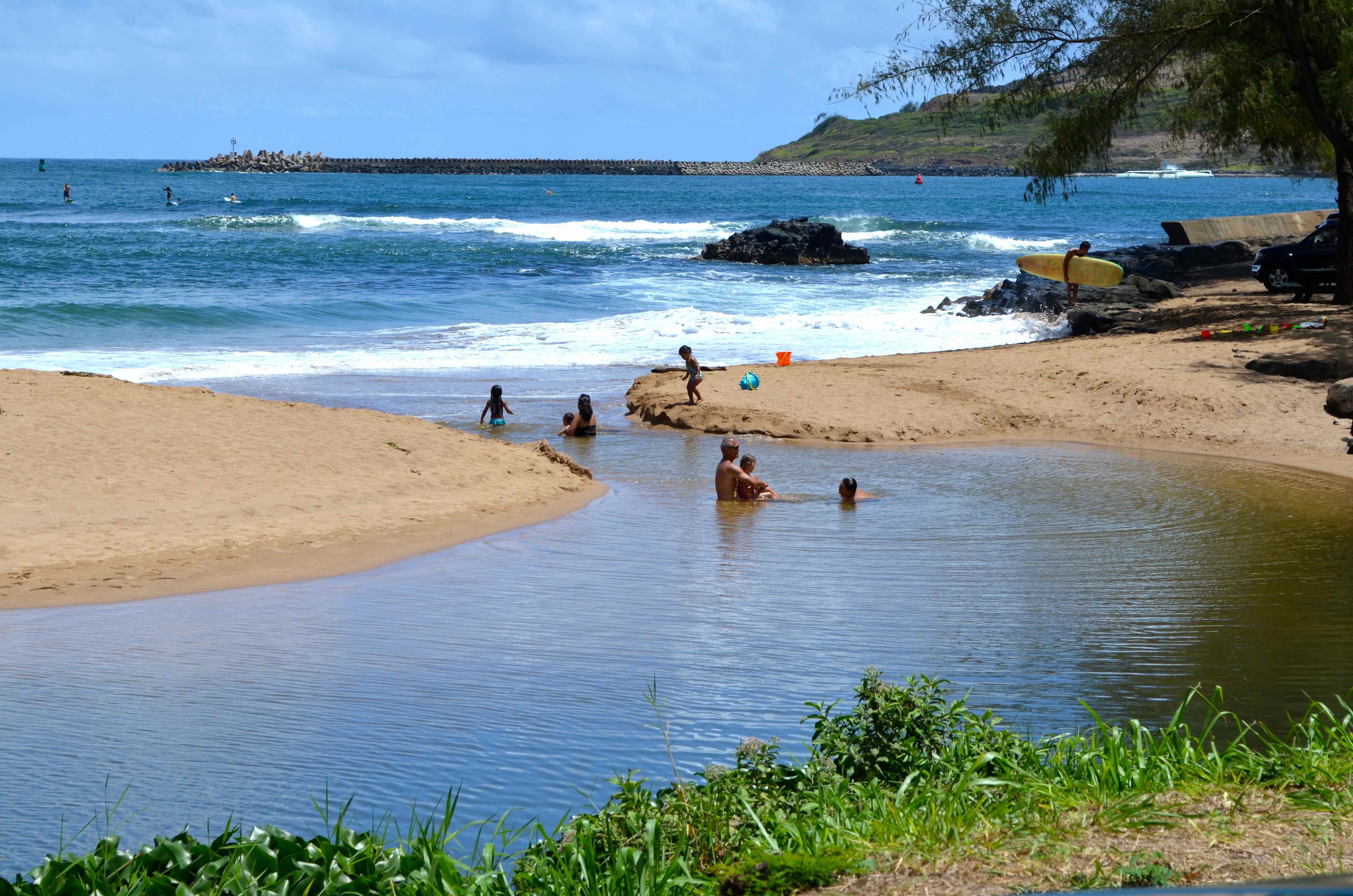 Protect public health in Nāwiliwili Stream