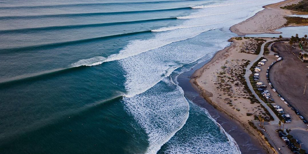 Rewild Surfers Point