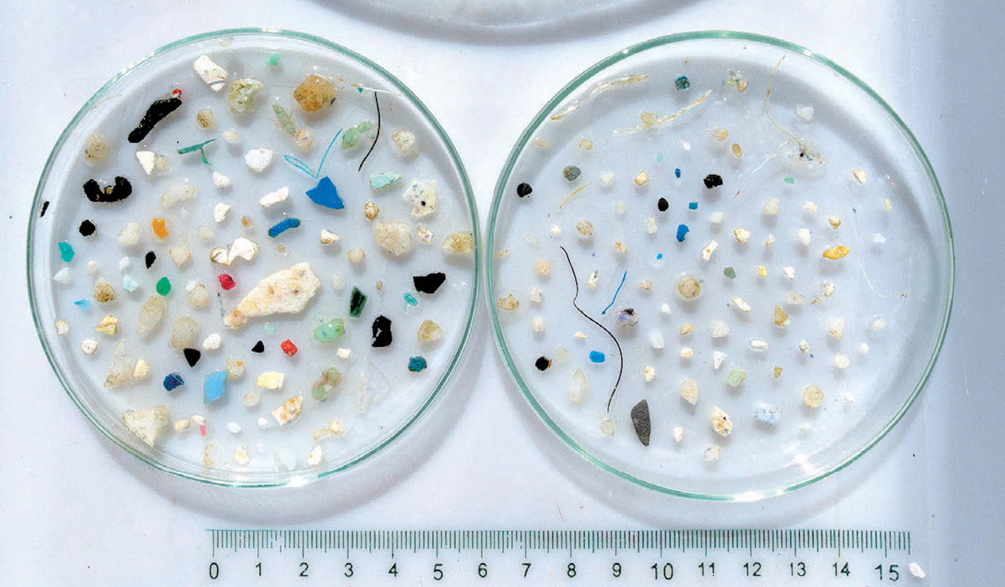 Support AB 823 – Keep Plastic Microbeads Off of Our Bodies