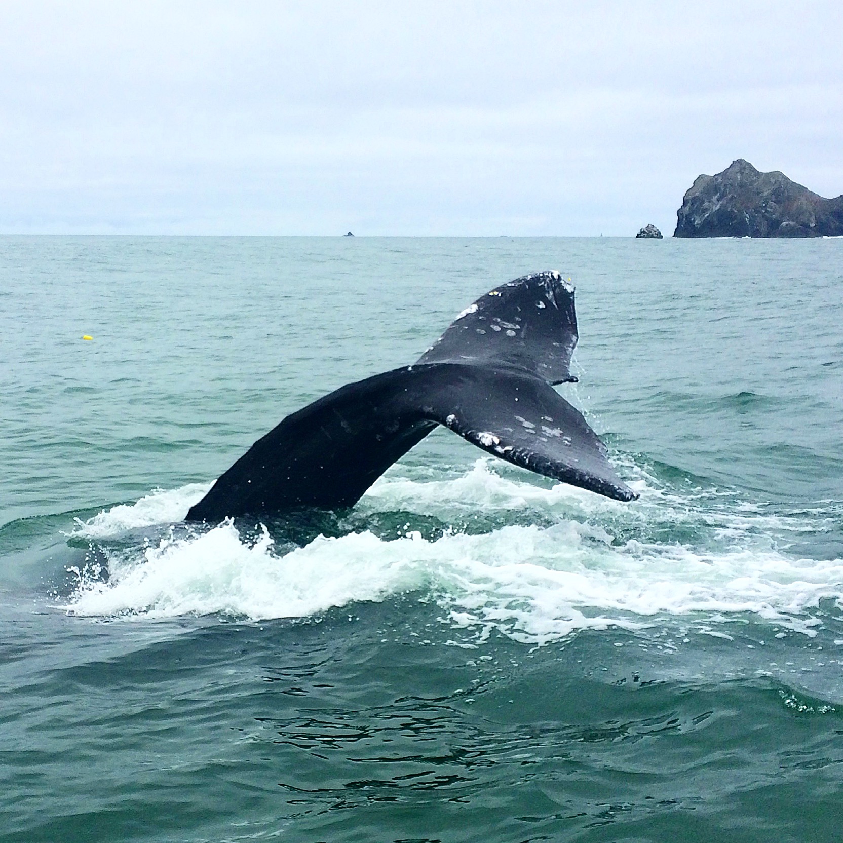 Victory! AB 2734 Expands Coastal Access in California!