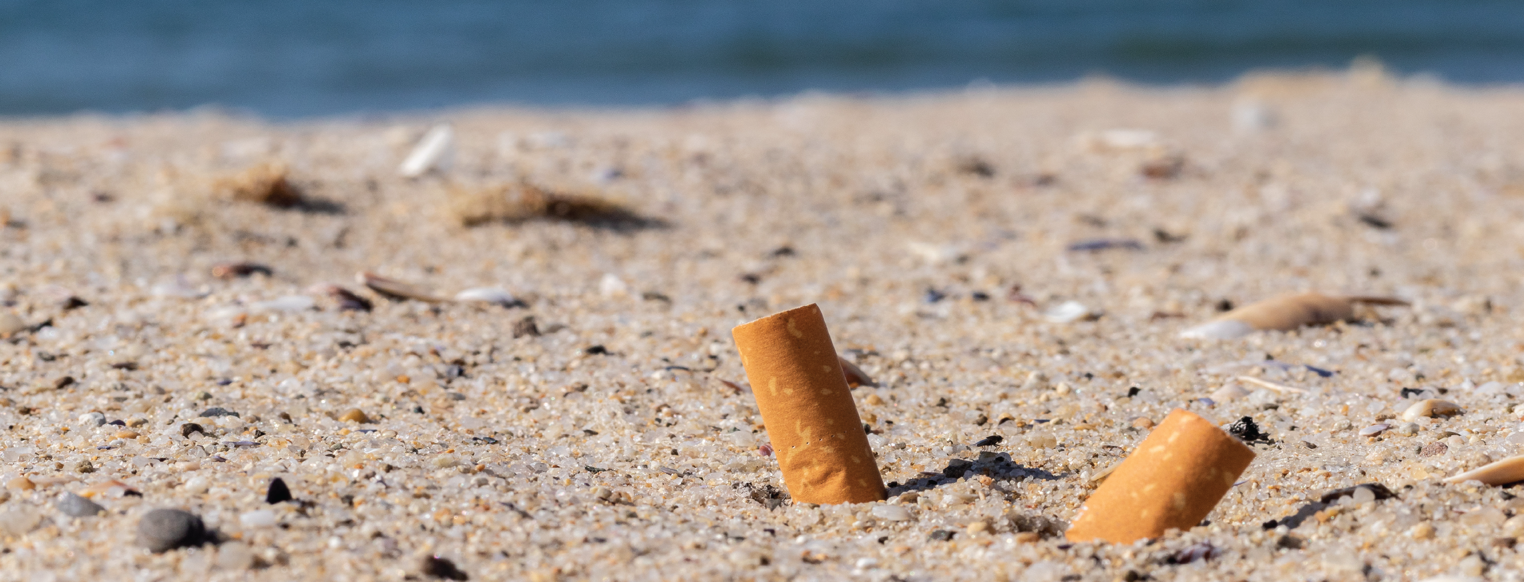 Ban Butts from Our Beaches, Melbourne Beach