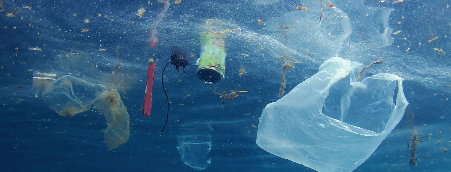 Plastic-Free San Diego County