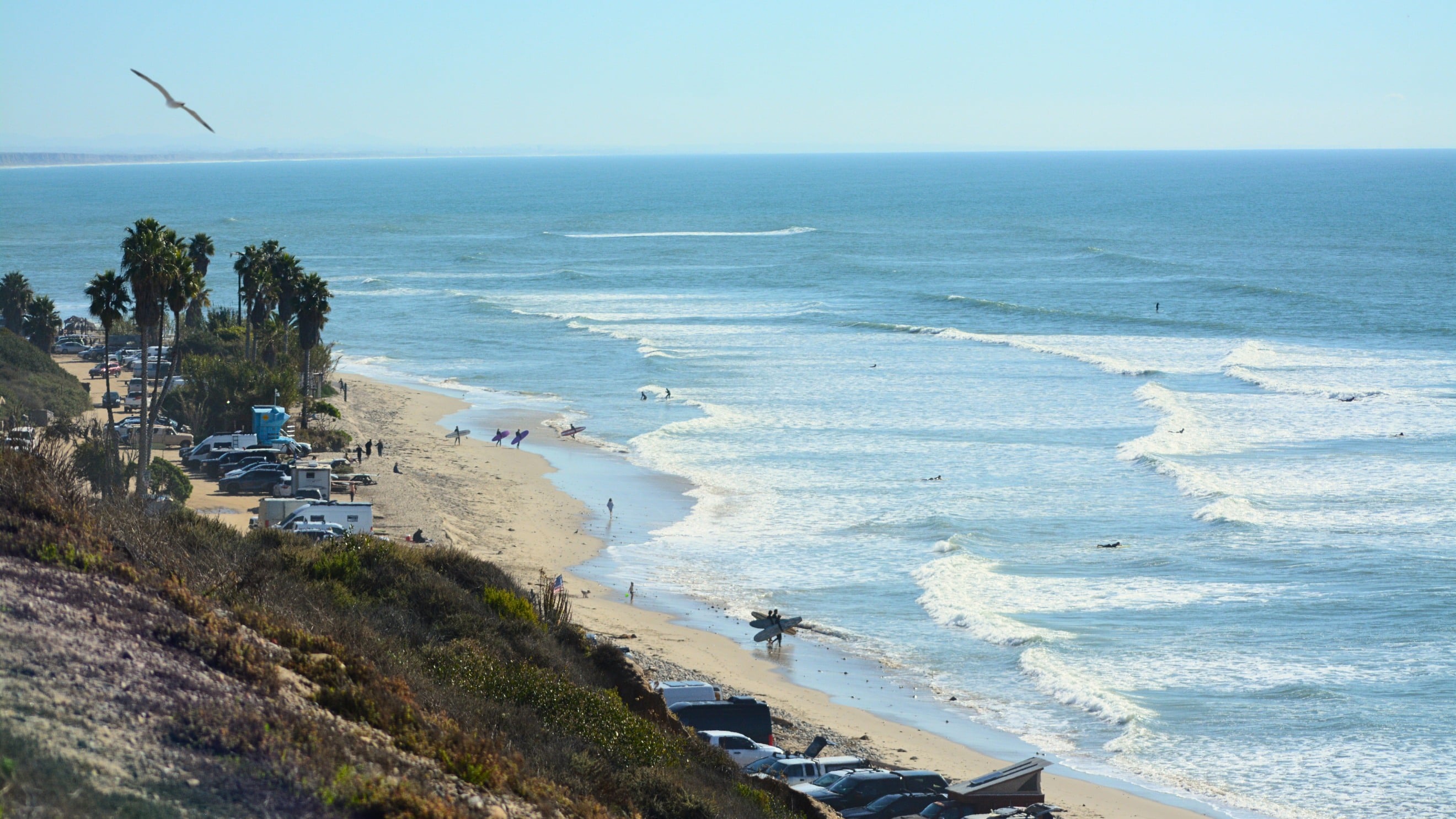 Save San O