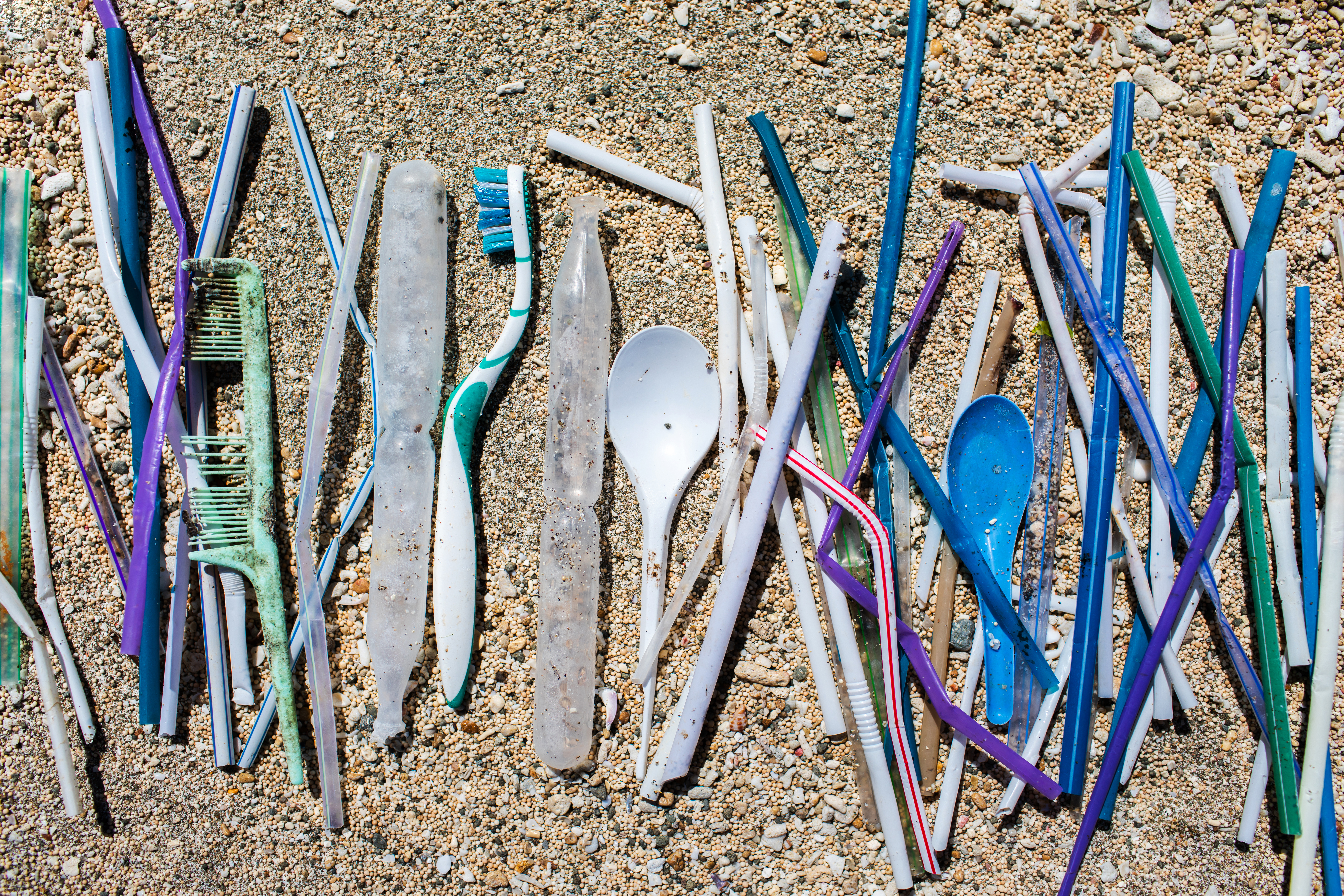 Strengthen the Impact of Folly Beach Plastic Ordinance