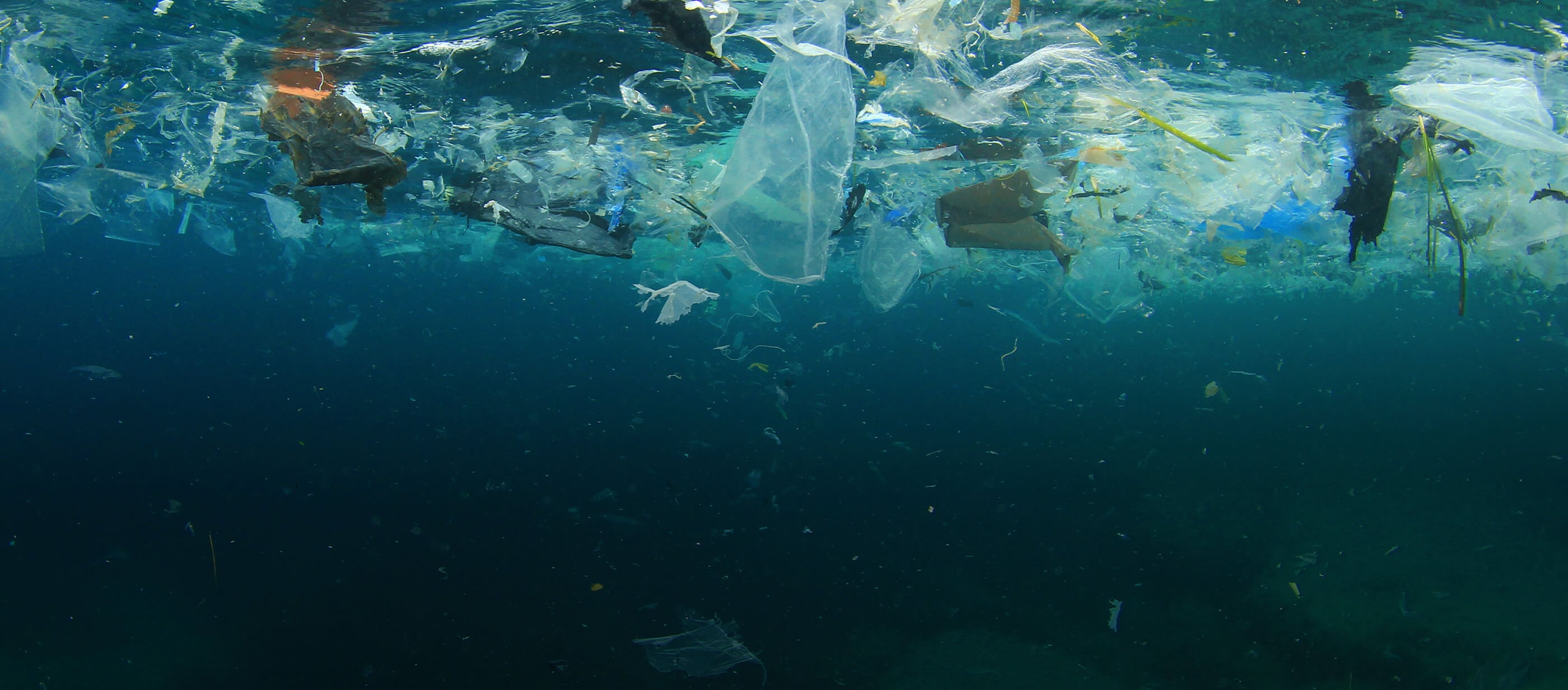 Hudson Plastic Reduction Bylaw