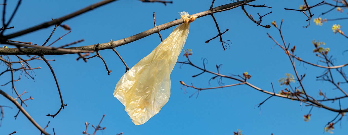 Defend City of Athens, OH, Single-Use Plastic Bag Ban