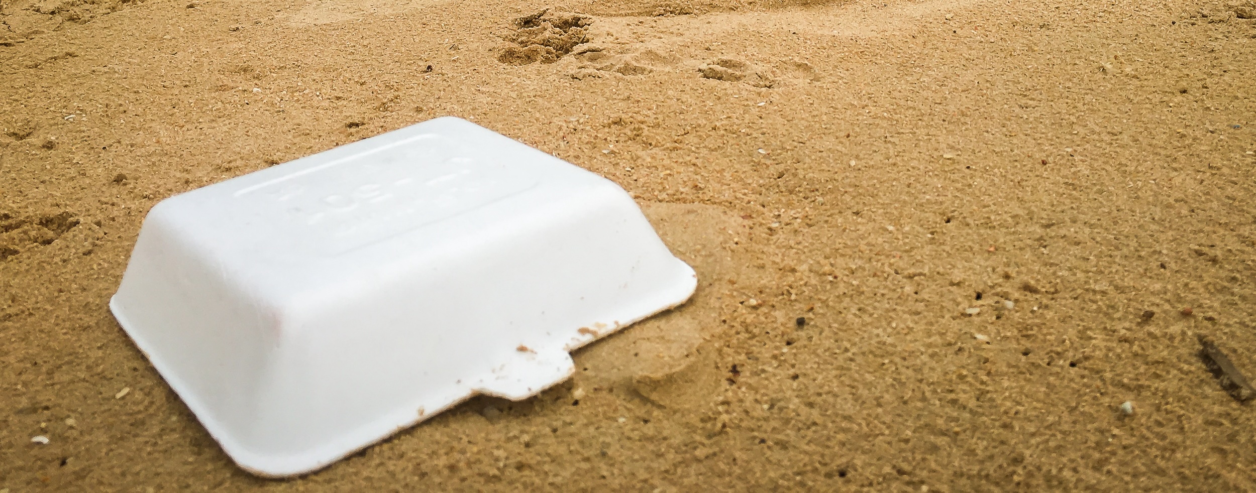 Illinois- Ban the Foam, Save the Shore